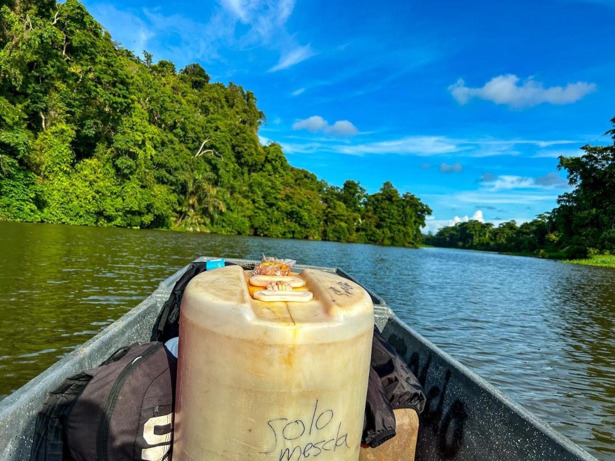 Departamento 7 Tortuguero Daire Dış mekan fotoğraf