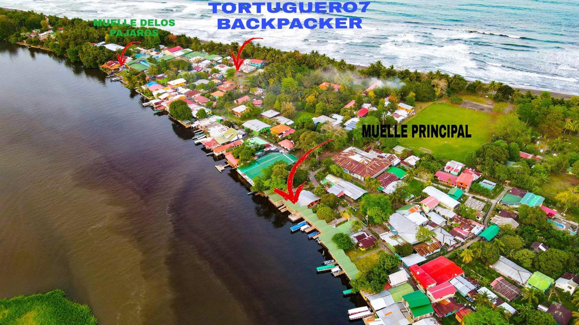 Departamento 7 Tortuguero Daire Dış mekan fotoğraf